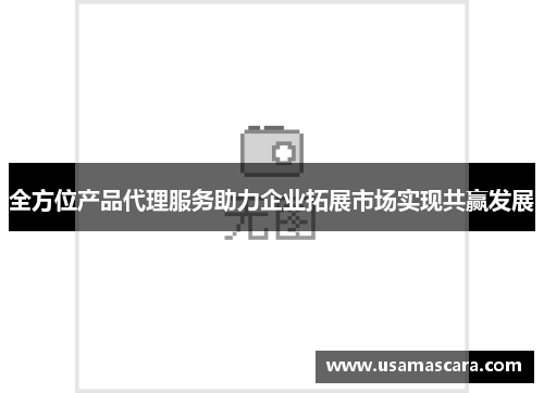 全方位产品代理服务助力企业拓展市场实现共赢发展