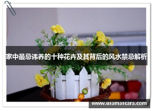 家中最忌讳养的十种花卉及其背后的风水禁忌解析