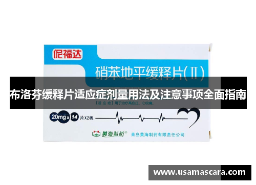 布洛芬缓释片适应症剂量用法及注意事项全面指南