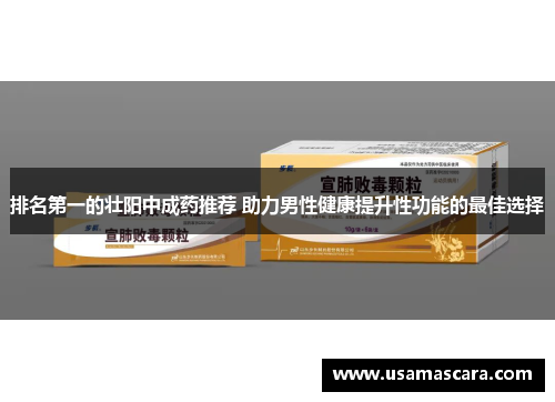 排名第一的壮阳中成药推荐 助力男性健康提升性功能的最佳选择