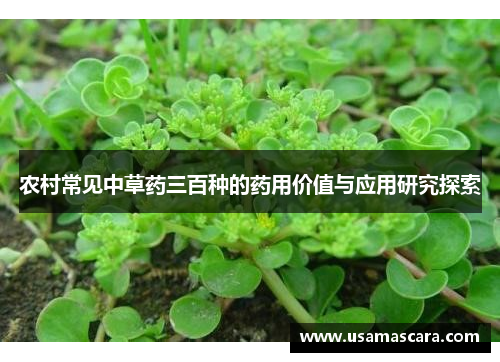 农村常见中草药三百种的药用价值与应用研究探索