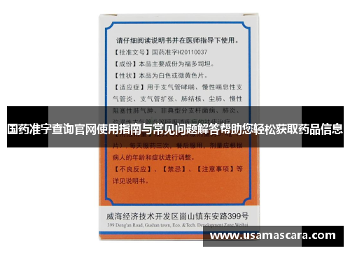 国药准字查询官网使用指南与常见问题解答帮助您轻松获取药品信息
