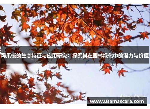 鸡爪槭的生态特征与应用研究：探索其在园林绿化中的潜力与价值