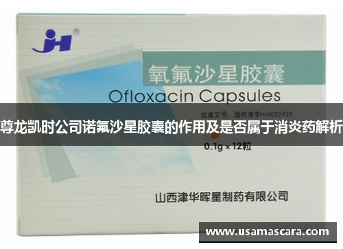 尊龙凯时公司诺氟沙星胶囊的作用及是否属于消炎药解析