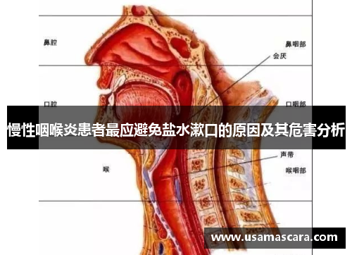 慢性咽喉炎患者最应避免盐水漱口的原因及其危害分析