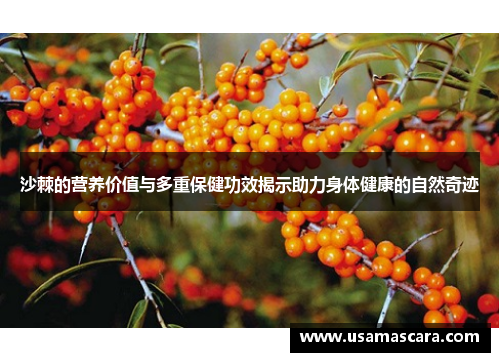 沙棘的营养价值与多重保健功效揭示助力身体健康的自然奇迹